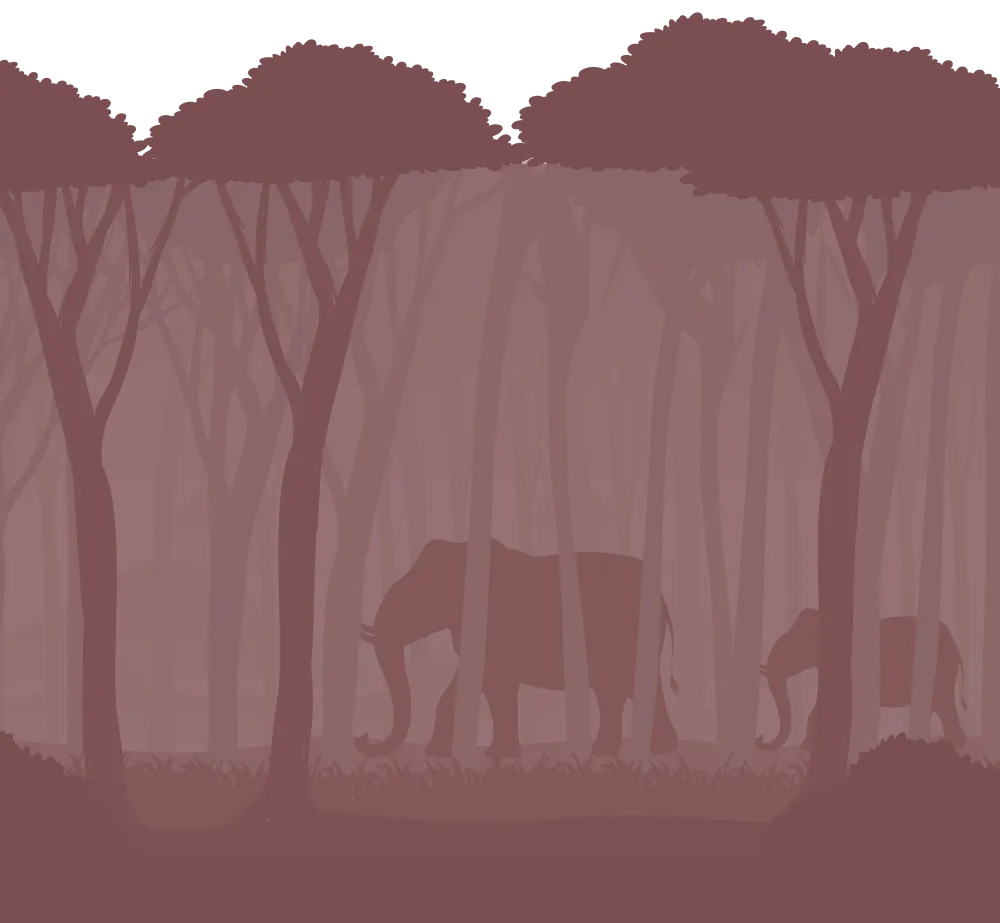 bg siluets3