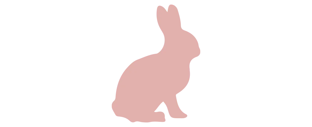 conejo